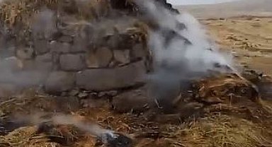 Erciş'te yıldırım düştü, 3 bin bağ ot yandı