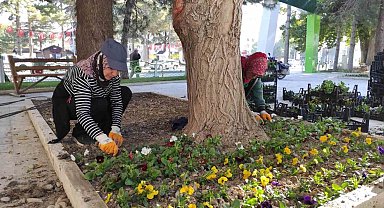 Ereğli Belediyesi çevre düzenleme çalışmalarını sürdürüyor