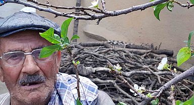 Erik mevsimleri şaşırdı