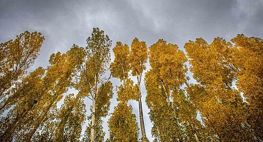 Erzincan'da hazan mevsimi güzelliği