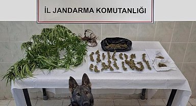 Erzincan'da jandarma ekipleri suça geçit vermiyor