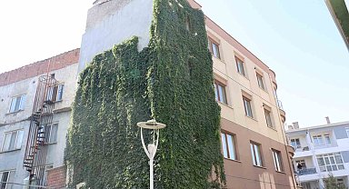 Eskişehir'de sarmaşıkla kaplı apartman görenleri hayran bıraktı