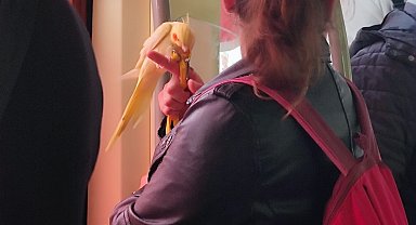 Eskişehir'de tramvayda kuş ile yolcunun iç ısıtan görüntüsü