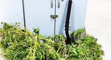 Evlerinde uyuşturucu yetiştirip satan baba-oğul, polisin takibinden kaçamadı