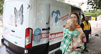 Eyüpsultan'da Sokak Hayvanları Ambulansı hizmete devam ediyor