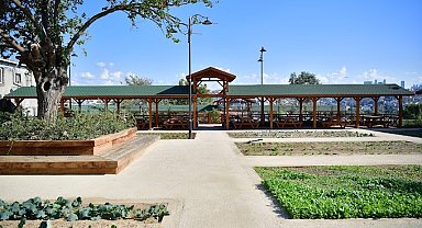 Fatih'in tarımsal mirası Ayvansaray Bahçe'de birinci yıl etkinliği düzenlendi