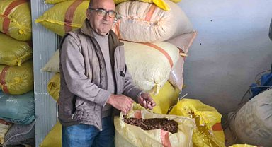 Fındık 125 lirayı görecek