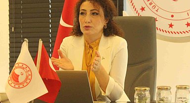 Fındık Araştırma Enstitüsü'nde yeni fındık çeşitleri melezleniyor