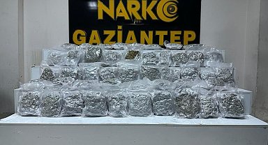Gaziantep'te 24 kilo skunk ele geçirildi