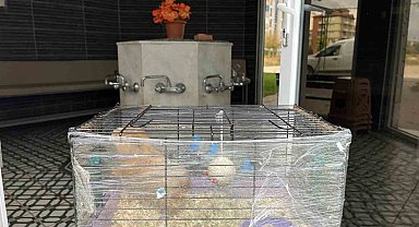 Geçmişte bebek bırakılan camilere şimdi kafeslerindeki evcil hayvanlar bırakılıyor
