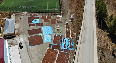 Giresun'da bu ilçede fındık yetiştirilmiyor ama kurutuluyor