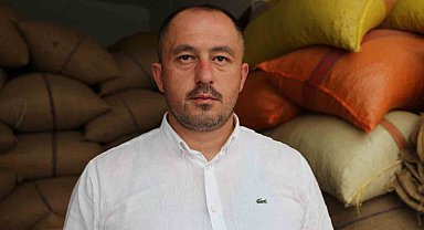 Giresun'da fındık fiyatları stabil hale gelmeye başladı