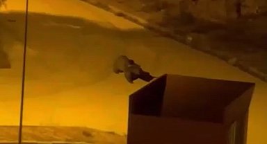 Gümüşhane'de üniversiteye ayı girdi