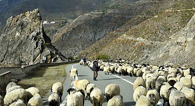 Gümüşhane'nin yüksek yaylalarından sürü göçleri devam ediyor