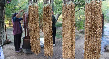 Halkapınar'da cevizli bandırma mesaisi başladı