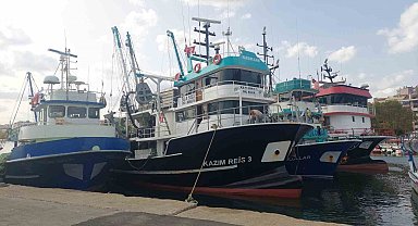 Hamsi bolluğu tayfaları Marmara'ya akın ettirdi