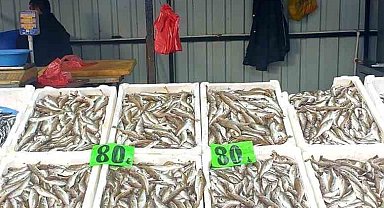 Hamsi ve mezgit tezgahlarda 80 liradan alıcı buluyor