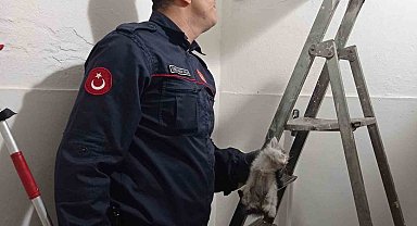 Havalandırma boşluğuna düşen kediyi itfaiye kurtardı