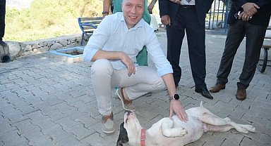 Hayvan hakları için Milas Kaymakamı Böke sahada