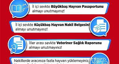 Hayvan hareketleri kontrol altında