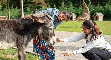 Hepsiburada, Hayvanları Koruma Günü'nde hayvanları unutmadı