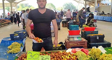 Hisarcık'ta fiyatı 30 TL'ye düşen şifa deposu hünnapa rağbet arttı