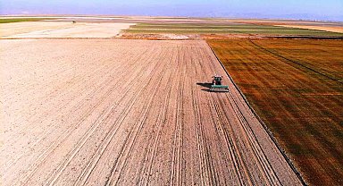 Hububat hasadında cücelik virüsü ile karşılaşmamak için çiftçilere ekim uyarısı