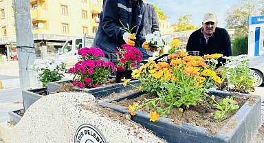 Iğdır mevsimlik çiçekler ile rengarenk