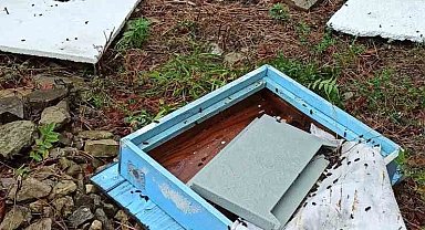 İlçe merkezine inen ayı kovanları parçaladı