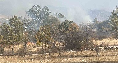 Isparta'da 10 dekar alan küle döndü