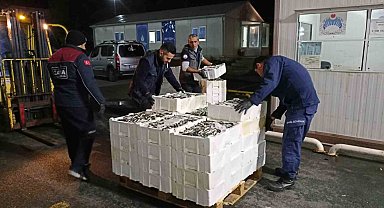 İstanbul'da su ürünleri denetlendi: 7.5 ton su ürününe el konuldu