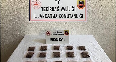 İstanbul'dan bonzai getirirken yakalandı