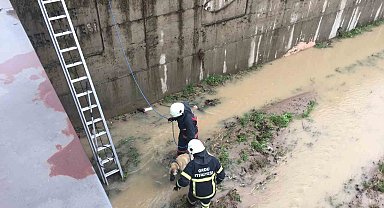 İtfaiye ekipleri dere kenarına düşen köpek için seferber oldu