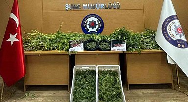 İzmir'de uyuşturucu operasyonuna 53 tutuklama