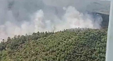 İzmir'deki orman yangınına havadan ve karadan müdahale