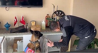 Jandarma 2023 yılında da zehir tacirlerine göz açtırmadı