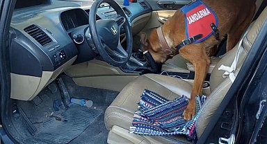 Jandarma Aydın'da kuş uçurtmuyor