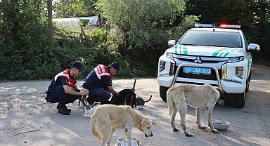 Jandarma can dostları unutmadı