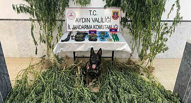 Jandarma uyuşturucu ile mücadeleye devam ediyor