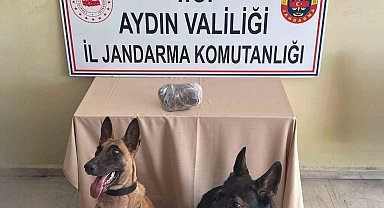 Jandarmanın hassas burunları uyuşturucuya geçit vermedi