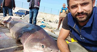 Jaws'la özçekim...