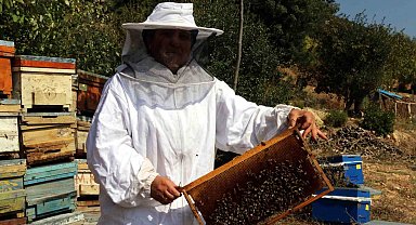Kadın girişimci devletten önce eğitim, sonra da kredi alarak arıcılığa başladı