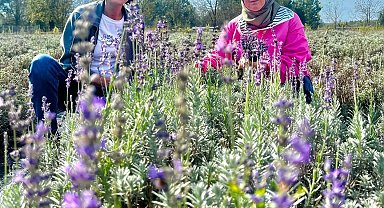 Kadın girişimcilerle bahçeler lavanta kokuyor