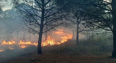 Karabiga'da çıkan orman yangını kontrol altına alındı