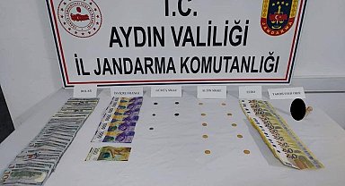 Karacasu'da tarihi eser operasyonu
