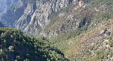 Karanlıkdere Kanyonu'nda çıkan yangın kontrol altına alındı