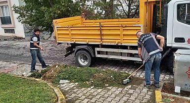 Karesi Belediyesi yeşil alanlara gözü gibi bakıyor