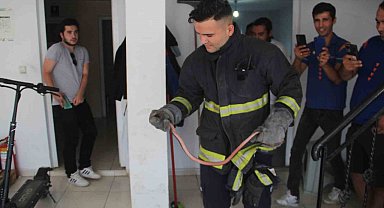 Kargo şubesine giren yılan, itfaiye ekipleri ve çalışanlara zor anlar yaşattı