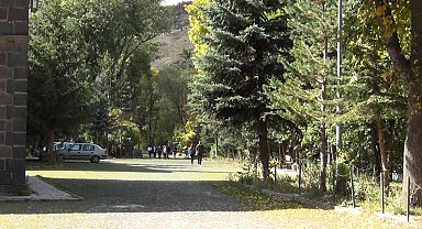 Kars'ta ağaçların yaprak dökümü başladı