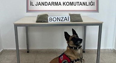 Kars'ta yolcu otobüsünde uyuşturucu ele geçirildi